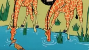 033. Les girafes